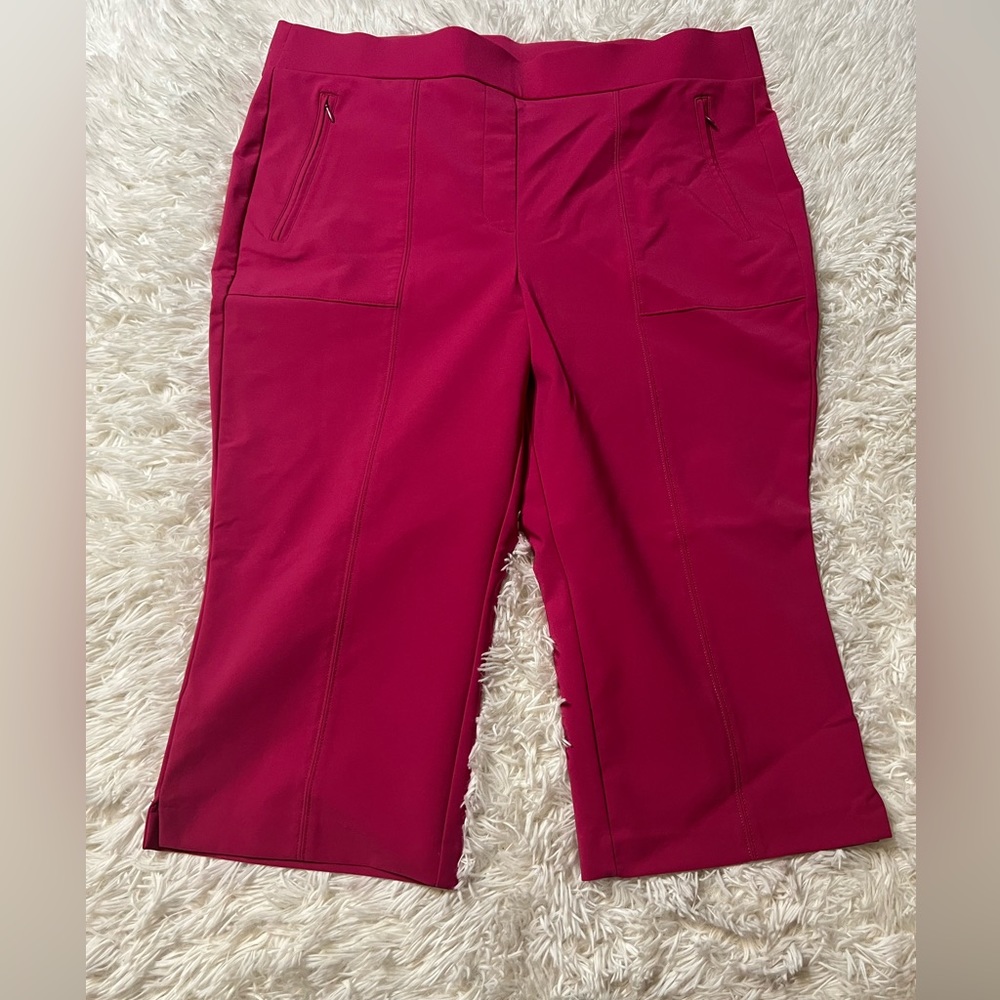Lane Bryant size 18
